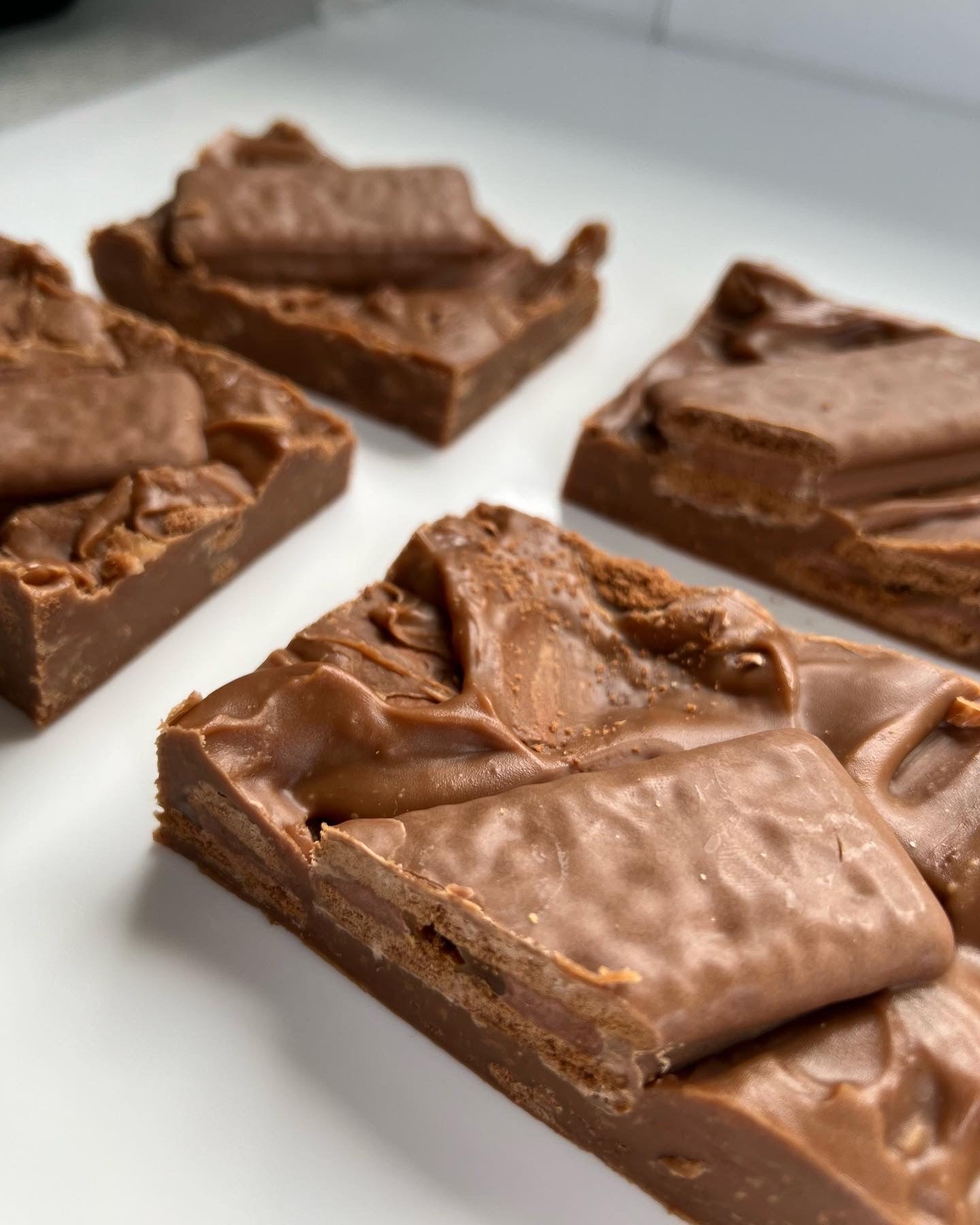 fudge bar (100g)