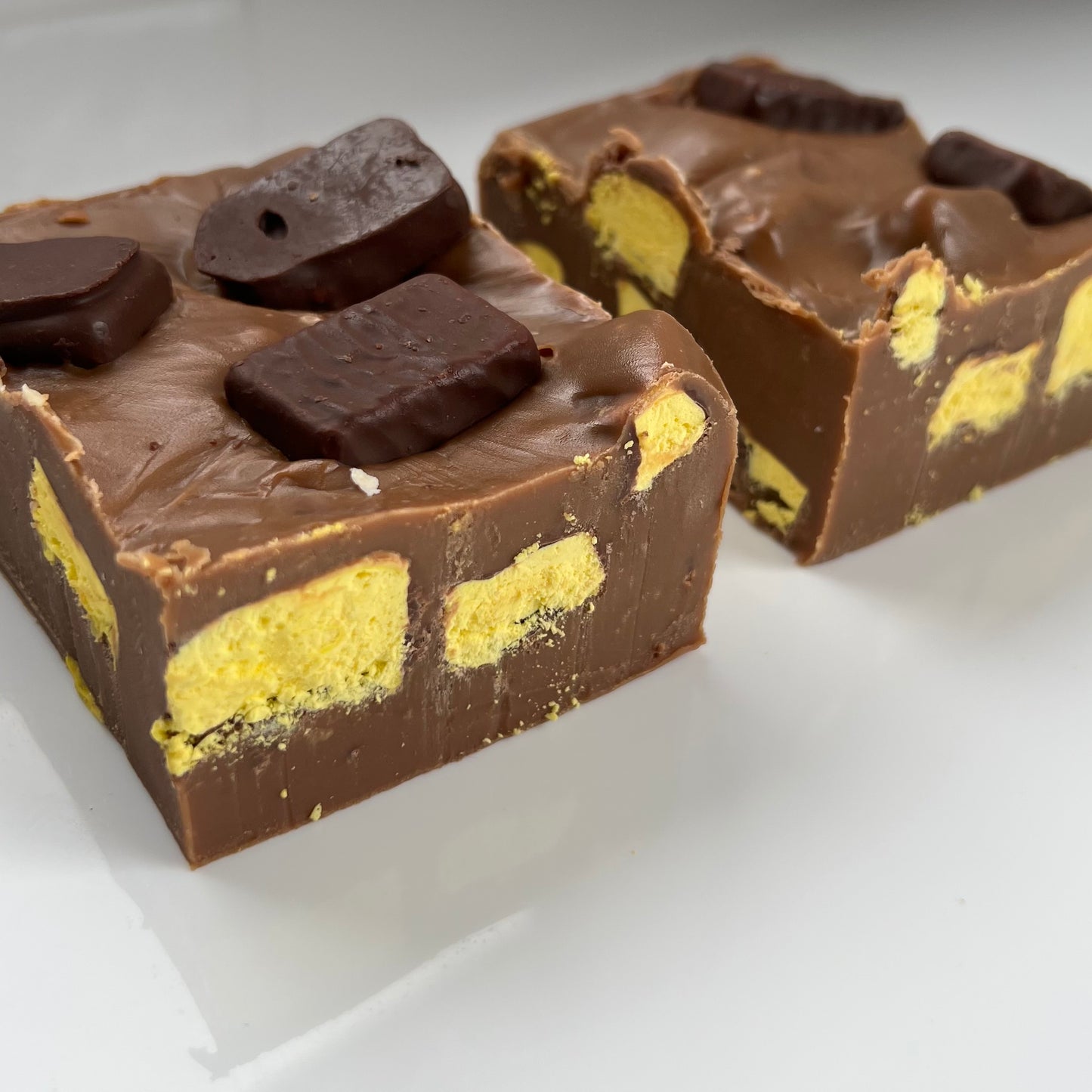 fudge bar (100g)